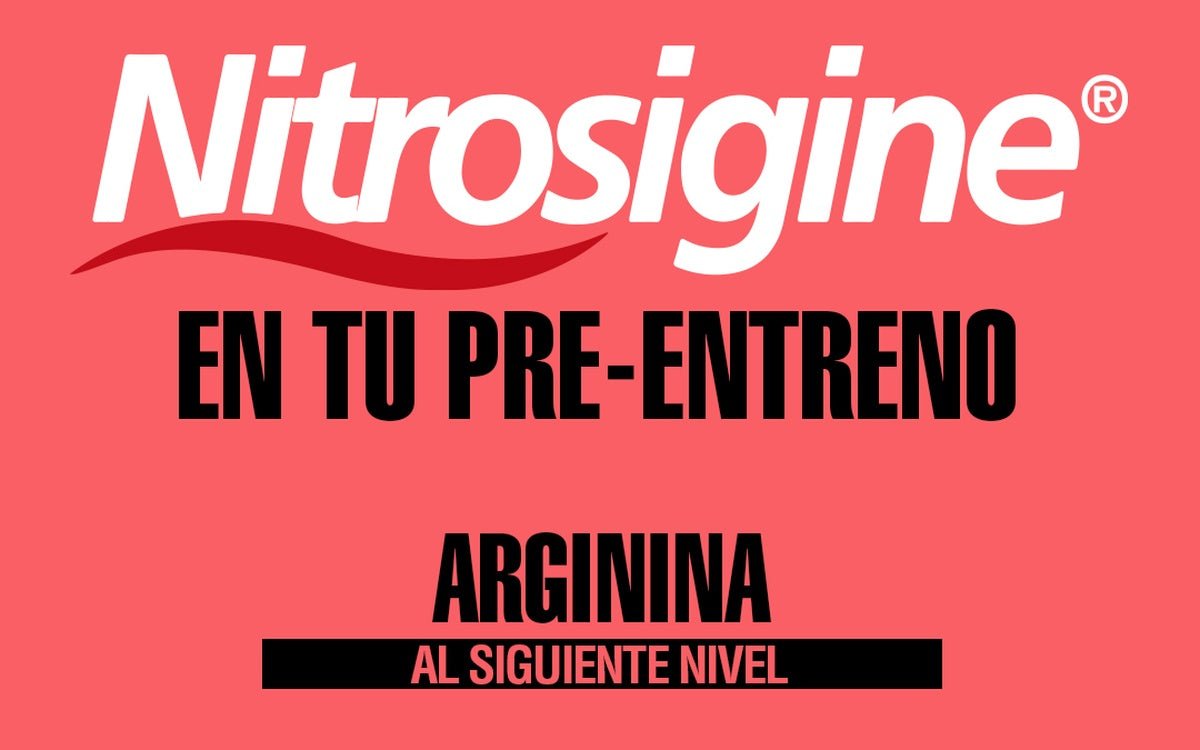 Nitrosigine ingrediente patentado oxido nitrico para pre-entreno FSB King Cobra