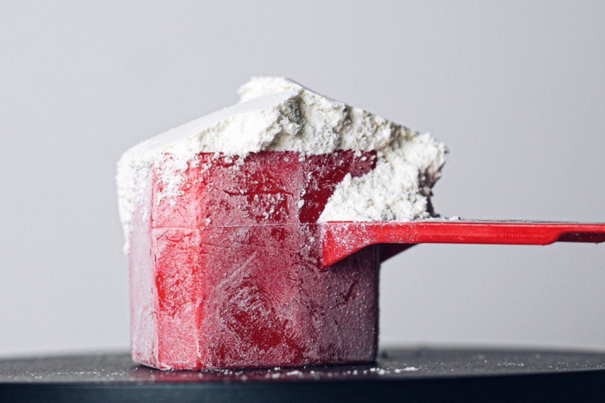 Cuchara medidora con proteína whey FSB — cuánta proteína necesitas al día para ganar músculo