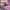 Pack FSB® Endurance — AMINO+ · Aislado · BLACK MAMBA