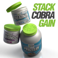 Stack Cobra Gain FSB — Whey Protein, Amino+ y Creatina Creapure® — México